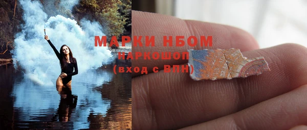 ПСИЛОЦИБИНОВЫЕ ГРИБЫ Верея