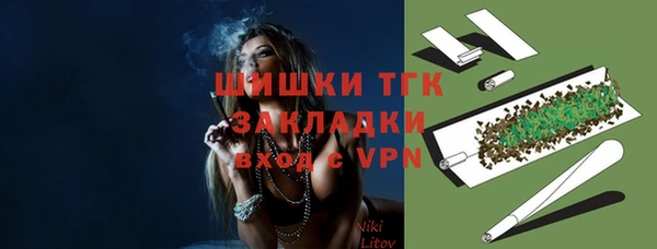 ПСИЛОЦИБИНОВЫЕ ГРИБЫ Верея