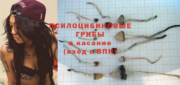 молекула духа Верхний Тагил