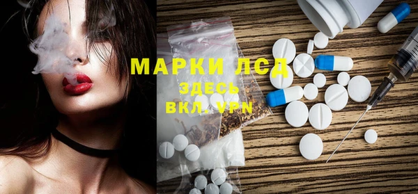 ПСИЛОЦИБИНОВЫЕ ГРИБЫ Верея
