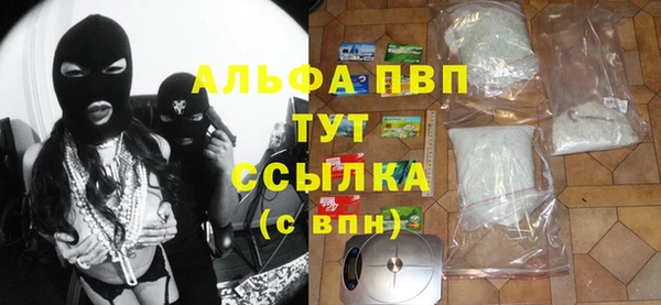 ПСИЛОЦИБИНОВЫЕ ГРИБЫ Верея
