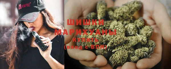 ПСИЛОЦИБИНОВЫЕ ГРИБЫ Верея