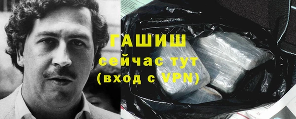 ПСИЛОЦИБИНОВЫЕ ГРИБЫ Верея