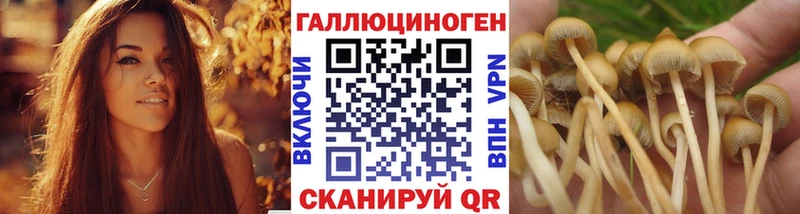Псилоцибиновые грибы мухоморы Калининск